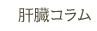 肝臓コラム